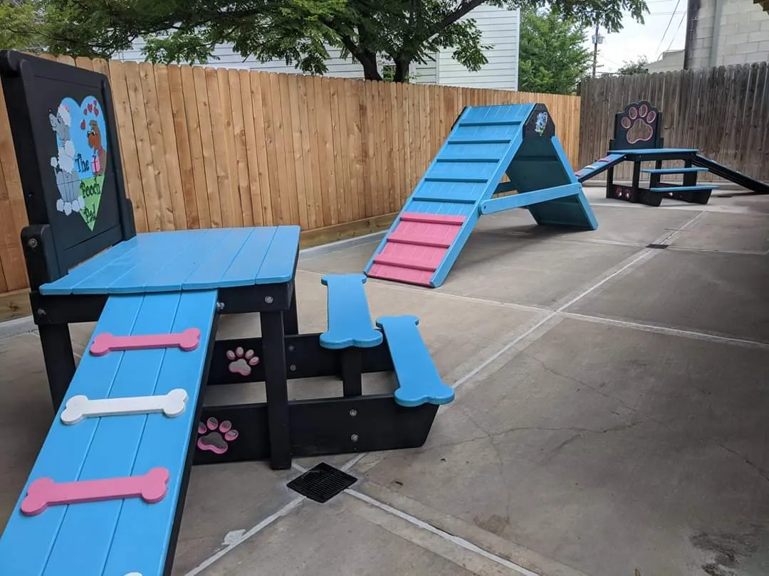 Dog agility course with colorful ramps.