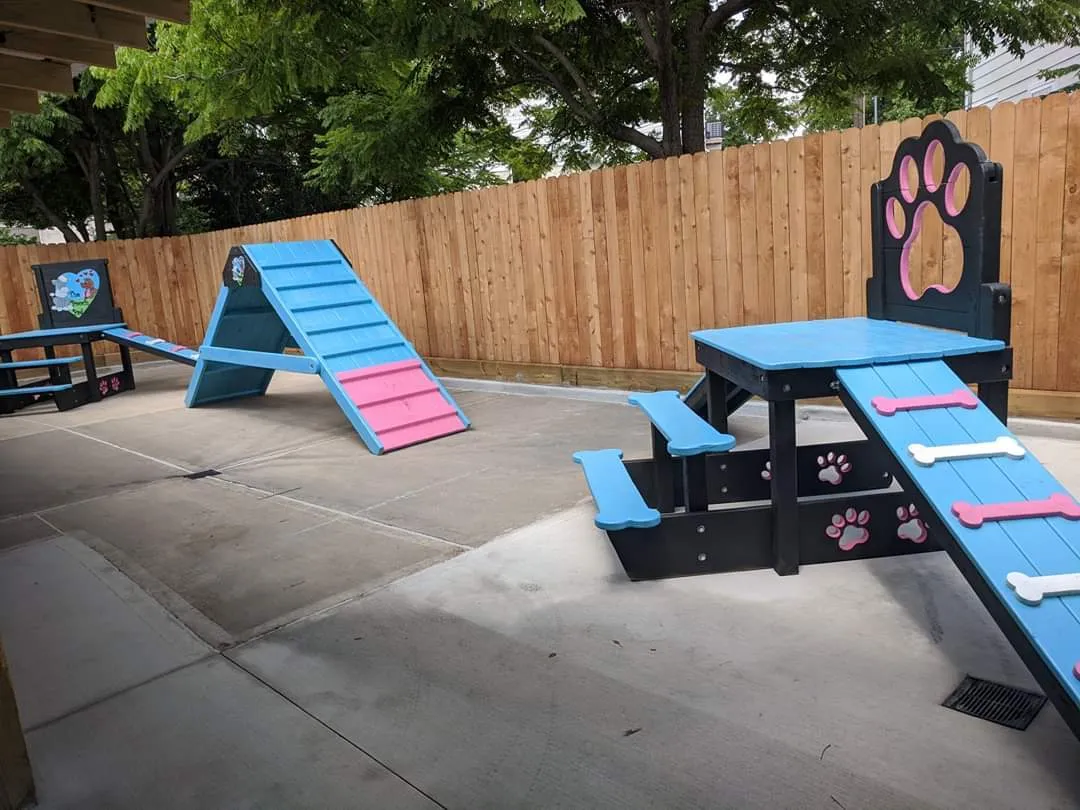 Colorful dog agility playground with ramps.