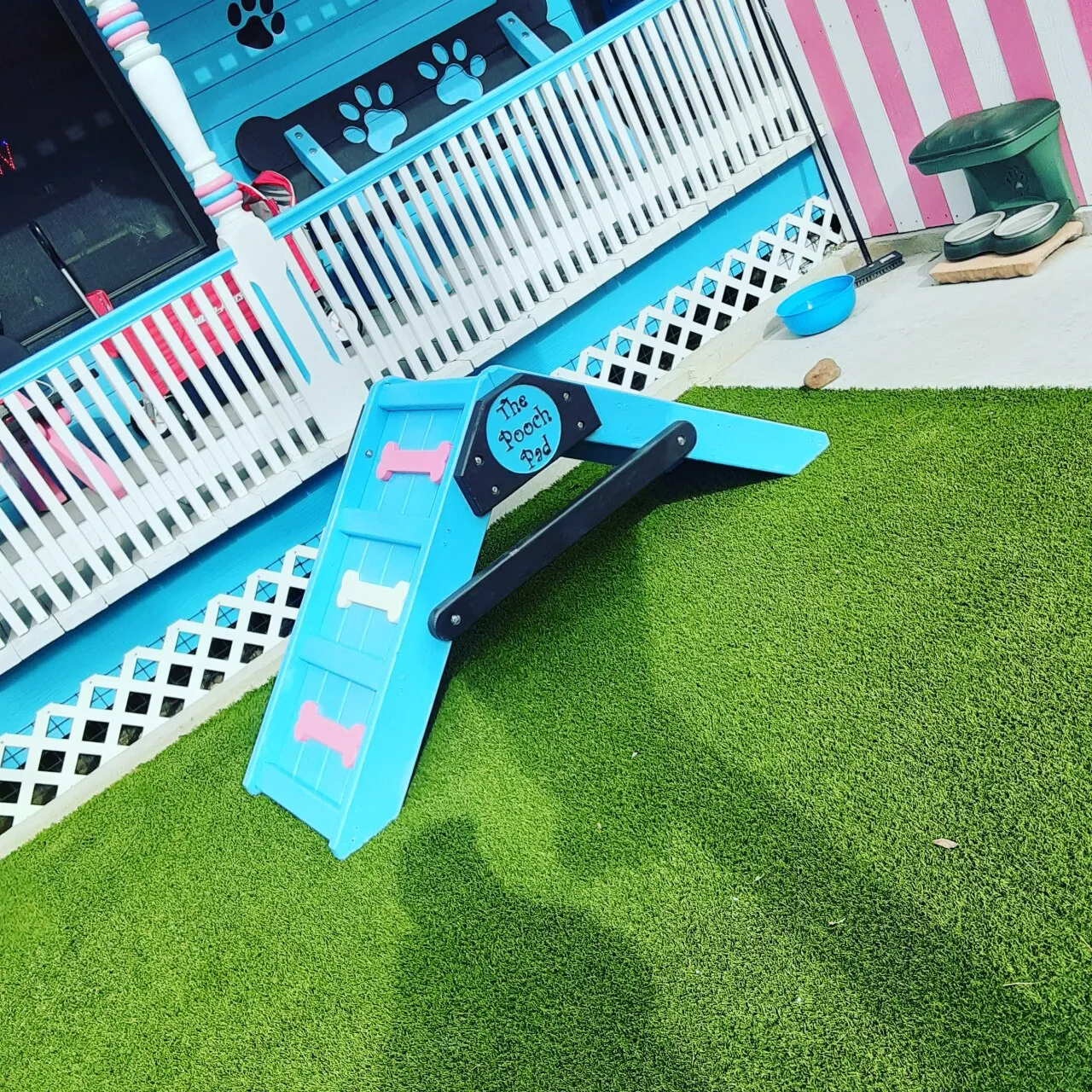Blue dog playground with agility ramp.