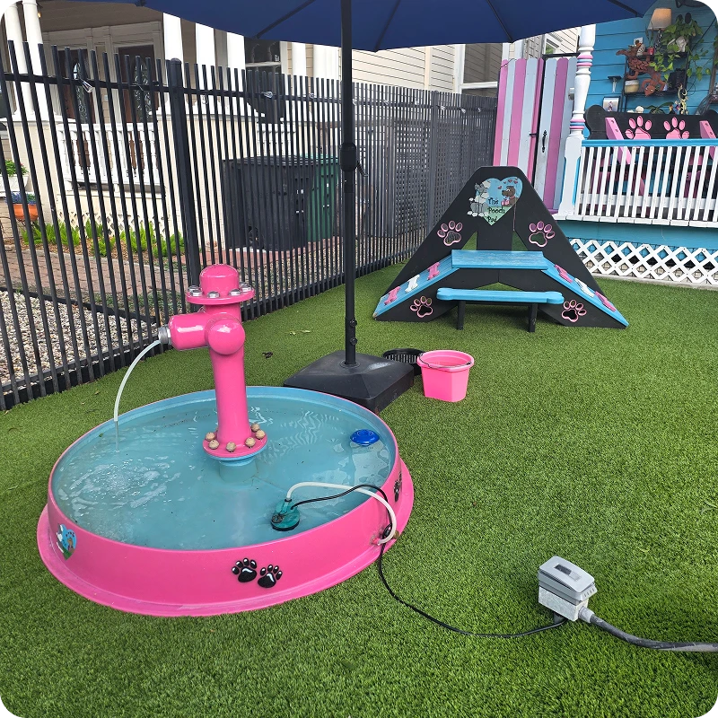 Outdoor dog spa with shade umbrella